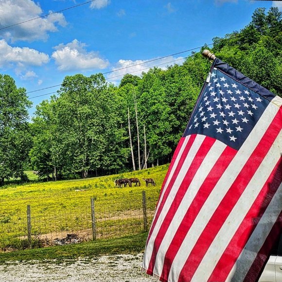 Meet your Posher, Kimberley - Picture 5 of 5